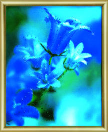 Набор картина стразами Чарівна Мить КС-165 "Колокольчики в саду"