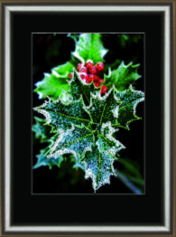 Набір картина стразами Crystal Art КС-1076 "Зимові ягоди"