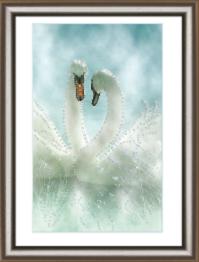 Набір картина стразами Crystal Art КС-1039 "Білі лебеді"