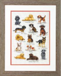 70-35353 Набір для вишивання хрестом DIMENSIONS Dog Sampler "Породи собак"