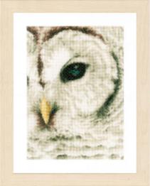 PN-0163781 Набір для вишивки хрестом LanArte Snowowl "Сніжна сова"