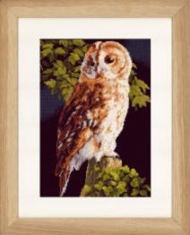 PN-0146814 Набір для вишивки хрестом LanArte Owl "Сова"
