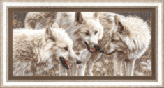 Набір для вишивання хрестиком Чарівна Мить М-126 "Білі вовки"