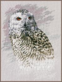 PN-0183826 Набір для вишивання хрестом LanArte Snowy Owl "Полярна сова"