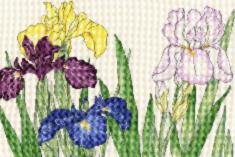 XBD14 Набор для вышивания крестом Iris Blooms "Ирис цветёт" Bothy Threads