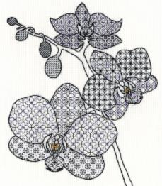 XBW2 Набір для вишивання хрестом Blackwork Orchid "Орхідея" Bothy Threads