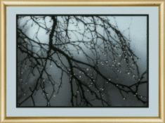 Набор картина стразами Чарівна Мить КС-172 "После дождя"