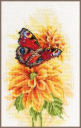 PN-0190703 Набір для вишивки хрестом LanArte Fluttering butterfly "Порхающий метелик"