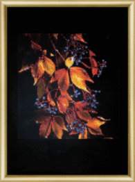 Набір картина стразами Чарівна Мить КС-174 "Дикий виноград"