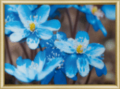 Набор картина стразами Чарівна Мить КС-179 "Первоцветы"