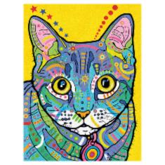 73-91694 Набір для малювання олівцями за номерами "Різнокольоровий кіт" Dimensions