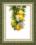 ВТ-136 Набір для вишивання хрестиком Crystal Art "Корисні лимони"