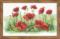 03237 Набір для вишивання хрестом DIMENSIONS Field of Poppies "Поле маків"