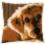 PN-0158555 Набір для вишивання хрестом (подушка) Vervaco Dog "Собака"