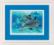 06944 Набір для вишивання хрестом DIMENSIONS Deep Sea Dolphins "Глибоководні дельфіни"
