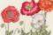 XBD15 Набір для вишивання хрестом Poppy blooms "Мак цвіте" Bothy Threads