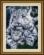 024Т Набор для рисования камнями (холст) "Белая тигрица и детеныш" LasKo. Каталог товарів. Набори