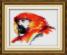 027Т Набор для рисования камнями (холст) "Красочный попугай" LasKo. Каталог товарів. Набори