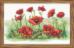 03237 Набор для вышивания крестом DIMENSIONS Field of Poppies "Поле маков". Каталог товарів. Набори