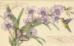 35237 Набор для вышивания крестом DIMENSIONS Orchids & Hummingbird "Орхидеи и колибри". Каталог товарів. Набори