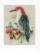 PN-0149691 Набор для вышивки крестом Vervaco Red Woodpecker "Красный дятел зимой". Каталог товарів. Набори