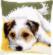 PN-0156600 Набор для вышивания крестом (подушка) Vervaco Dog wagging its tail "Маленькая собачка, машущая хвостиком". Каталог товарів. Набори