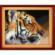 005Т Набор для рисования камнями (холст) "Королевский тигр" LasKo. Каталог товарів. Набори