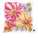 PN-0154564 Набор для вышивания крестом (подушка) Vervaco Colourful flowers "Красочные цветы". Каталог товарів. Набори