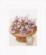 PN-0168601 Набор для вышивки крестом LanArte Crocus Flowers "Крокусы". Каталог товарів. Набори