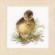 PN-0146975 Набор для вышивки крестом LanArte Duckling I "Утенок I". Каталог товарів. Набори