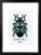 PN-0165369 Набор для вышивки крестом Vervaco Blue Beetle "Синий жук". Каталог товарів. Набори