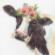 70-35386 Набор для вышивания крестом DIMENSIONS Sweet cow "Милая корова" . Каталог товарів. Набори