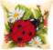 PN-0008586 Набор для вышивания крестом (подушка) Vervaco Ladybug "Божья коровка". Каталог товарів. Набори