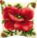 PN-0008703 Набор для вышивания крестом (подушка) Vervaco Oriental poppy "Восточный мак". Каталог товарів. Набори