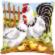 PN-0146209 Набор для вышивания крестом (подушка) Vervaco Chicken family on a farm "Куриная семья на ферме". Каталог товарів. Набори