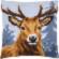 PN-0156293 Набор для вышивания крестом (подушка) Vervaco Deer "Олень". Каталог товарів. Набори