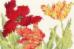 XBD9 Набор для вышивания крестом Tulip Blooms "Тюльпан Цветет" Bothy Threads. Каталог товарів. Набори
