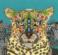 XSTU2 Набор для вышивания крестом Jewelled Leopard "Украшенный драгоценностями леопард" Bothy Threads. Каталог товарів. Набори