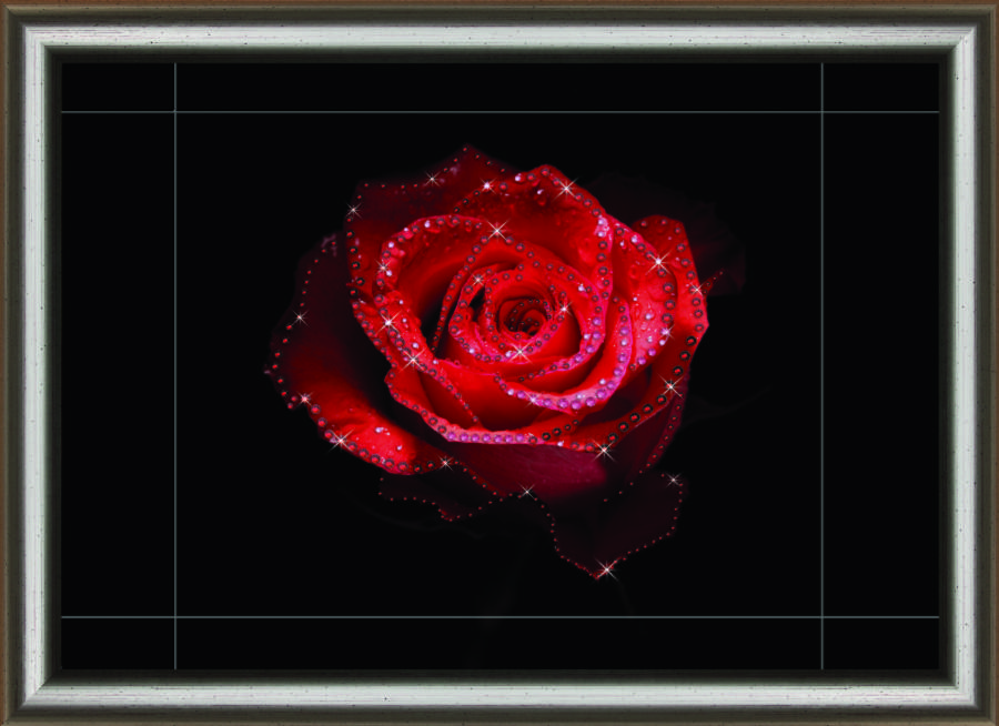 Набор картина стразами Crystal Art КС-1030 "Цветочная страсть". Каталог товарів. Набори