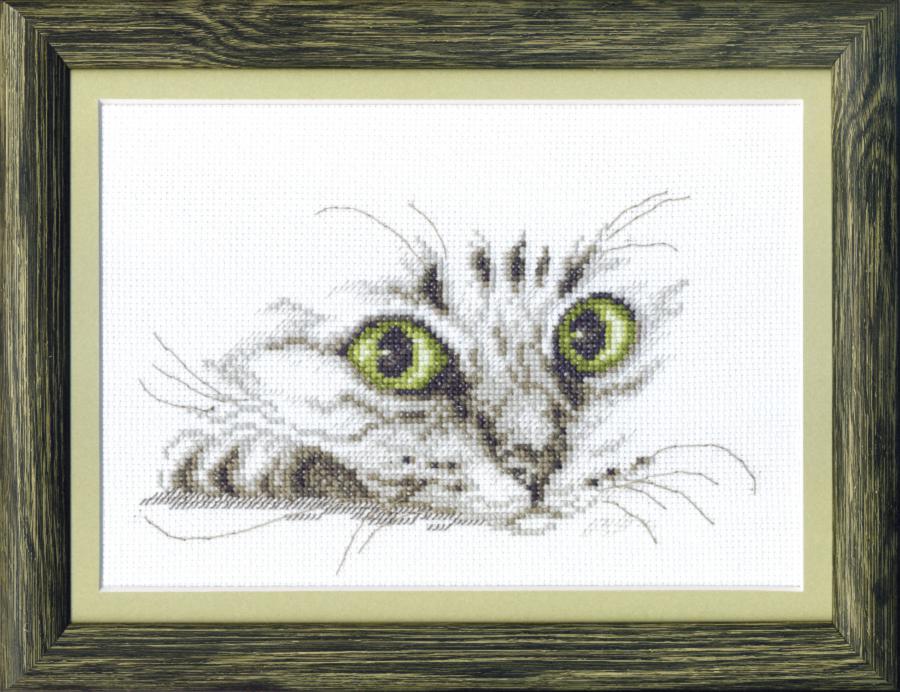 Набор для вышивки крестиком Чарівна Мить М-267 "Взгляд кота"  . Каталог товарів. Набори