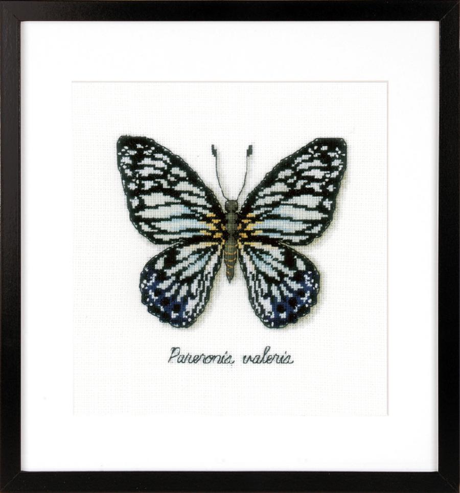 PN-0165403 Набор для вышивки крестом Vervaco Blue Butterfly "Голубая бабочка". Каталог товарів. Набори