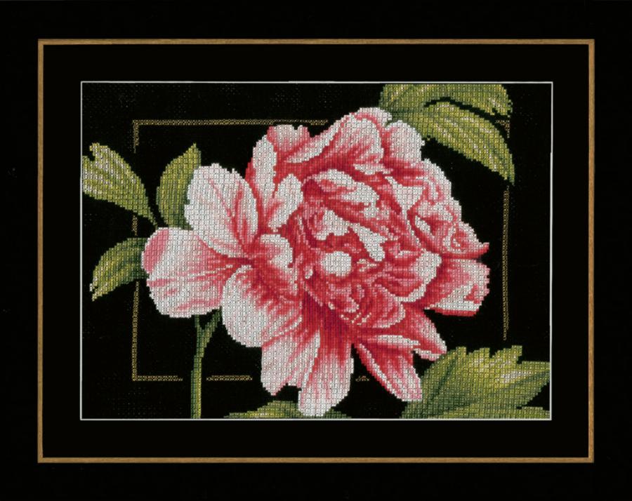 PN-0155749 Набор для вышивки Розовая роза, 33х24, аида 14, счетный крест LanArte. Каталог товарів. Набори