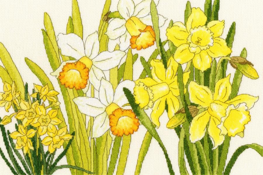 XBD10 Набор для вышивания крестом Daffodil Blooms "Нарцисс цветет" Bothy Threads. Каталог товарів. Набори
