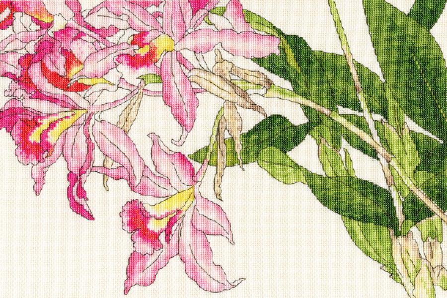 XBD16 Набор для вышивания крестом Orchid blooms "Цветет орхидея" Bothy Threads. Каталог товарів. Набори